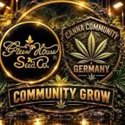 Aero/DWC Custome Legal German Grow
