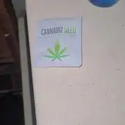 cannabiz personal grow