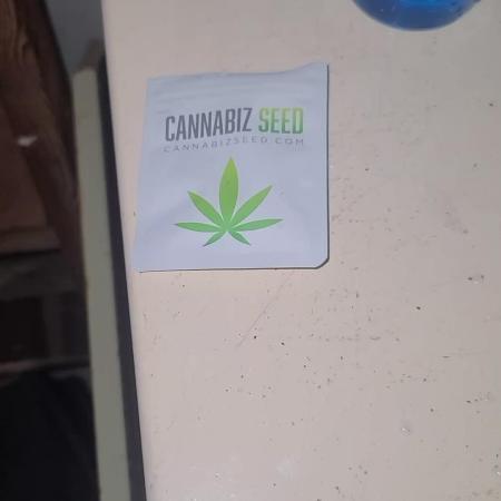 cannabiz personal grow