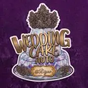 Chase the Best #1: Wedding Cake Auto