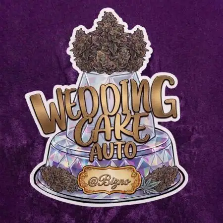 Chase the Best #1: Wedding Cake Auto