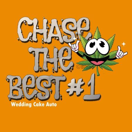 Chase the Best #1: Wedding Cake Auto