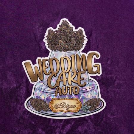 Chase the Best #1: Wedding Cake Auto