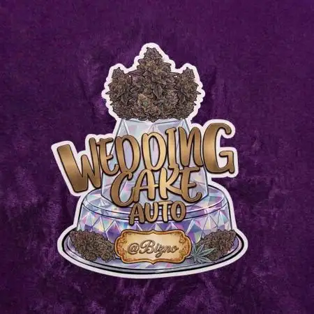 Chase the Best #1: Wedding Cake Auto