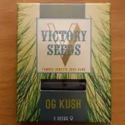OG Kush - Victory Seeds