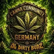 SS Critical+ by ODB