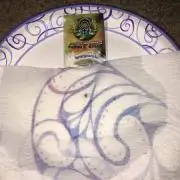 1st grow with HoneySuckle