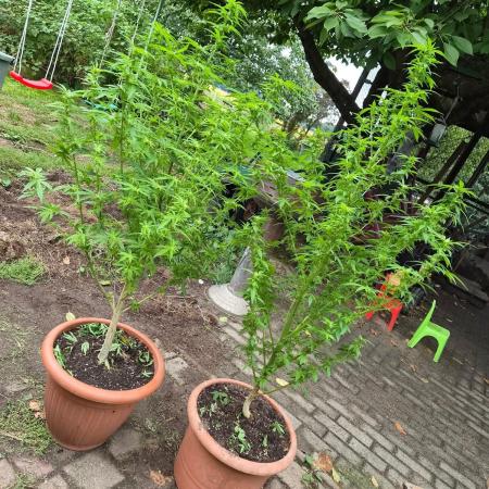 Outdoor die Erste