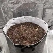76 Liter Living Soil