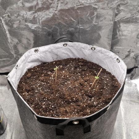 76 Liter Living Soil