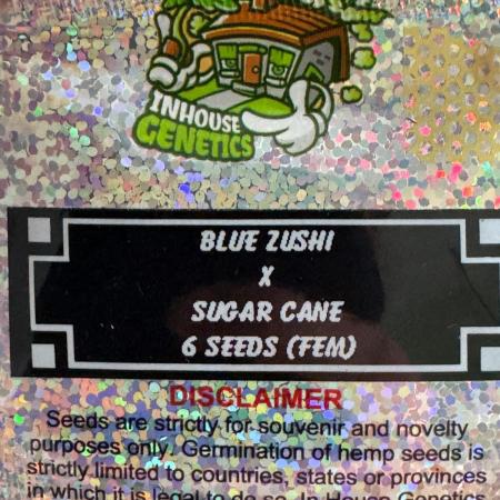 Candy Land Hunt Continues