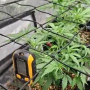 Primer intento Atico