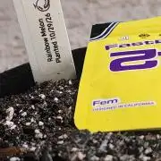Rainbow Melon 1-Gallon Grow