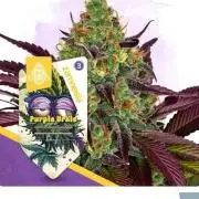 Fkj grow