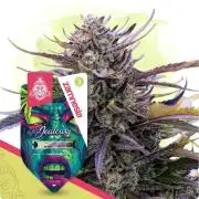 Fkj grow