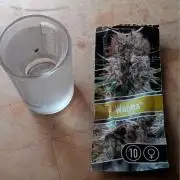 Al's Cannabis Grow