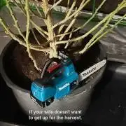 Giant Tree