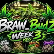 BRAW#001