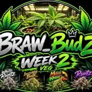 BRAW#001