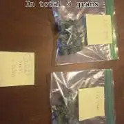 my first cannabis grow