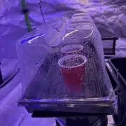 New Equipment trial