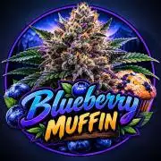 Bag Seed Experiment (Bluberry Muffin)