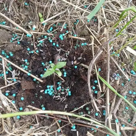 Auto Mix 2 Gurrilla Grow 25