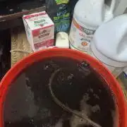 Welcome 2 Kool Rootzs