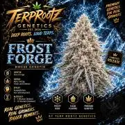 Frost Forge