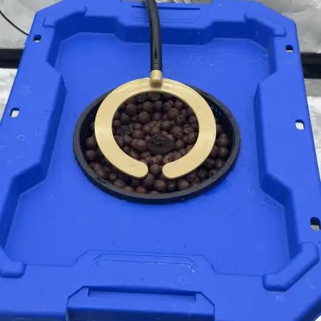 Gorilla Z Auto