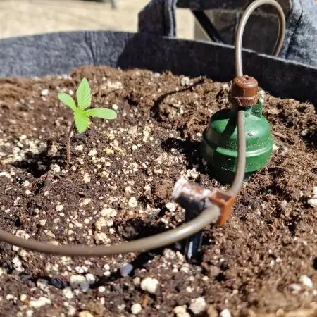 Organic Outdoor Autos
