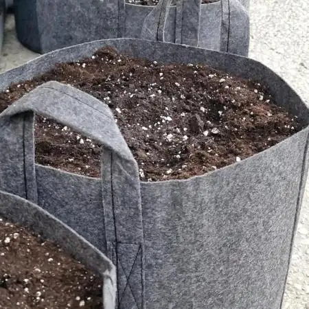 Organic Outdoor Autos