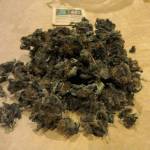 Dos Si Dos 33 and LSD Barneys Farm Grow