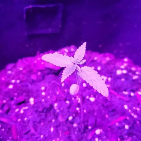 First Time..looking for advice