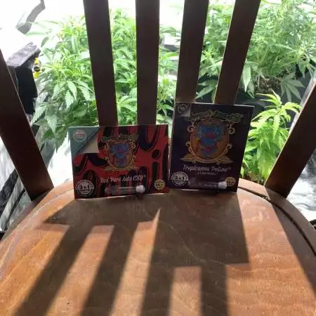 Sweet seeds stay @ home cup 