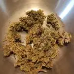 Strawberry Haze Auto Summer 2025