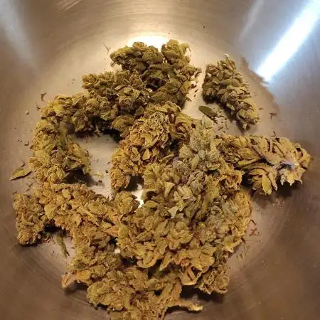 Strawberry Haze Auto Summer 2025