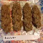 Strawberry Durban Nebula