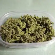 Late Summer Limited Edition Gelato Auto