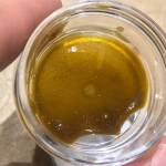 Critical +, Kind Soil, LED