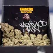 Nectar Drip #1 - Zamnesia X Tical x B&B
