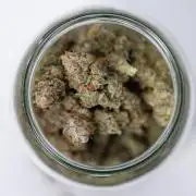 L.A. KUSH Cake #1 - Zamnesia x B&B
