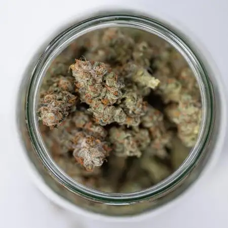 L.A. KUSH Cake #1 - Zamnesia x B&B