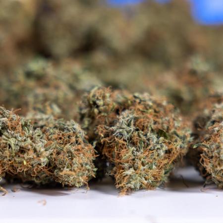 Trainwreck Auto 1 // Zamnesia x B&B
