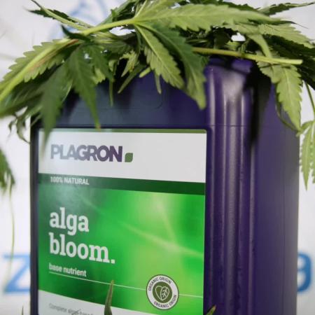 Nectar Drip #1 - Zamnesia X Tical x B&B