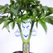 Nectar Drip #1 - Zamnesia X Tical x B&B