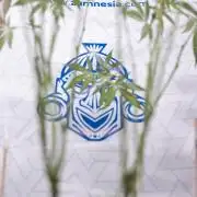 L.A. KUSH Cake #1 - Zamnesia x B&B