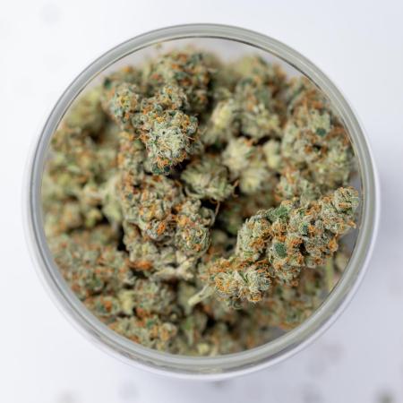 Tropicana Cookies #1 - Zamnesia x B&B