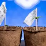 Nectar Drip - Zamnesia X Tical