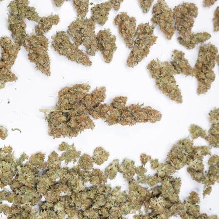 Tangerine Dream  Auto - Zamnesia x B&B